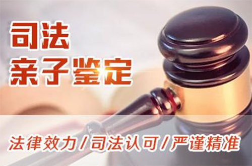昌吉司法亲子鉴定需要怎么做,